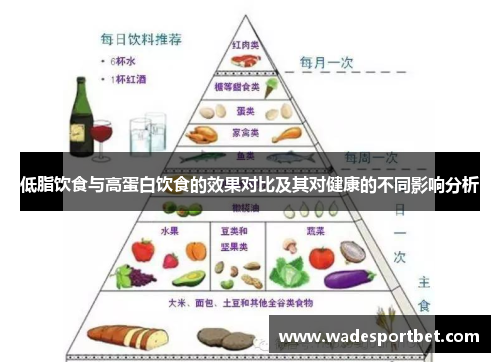 低脂饮食与高蛋白饮食的效果对比及其对健康的不同影响分析