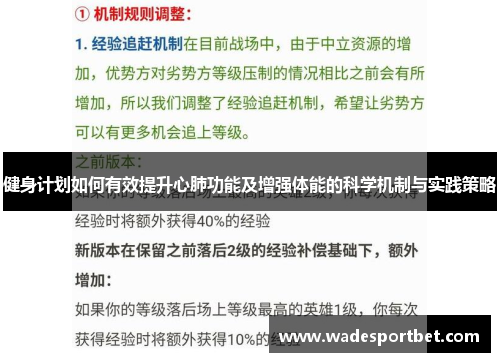 健身计划如何有效提升心肺功能及增强体能的科学机制与实践策略