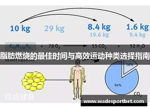 脂肪燃烧的最佳时间与高效运动种类选择指南