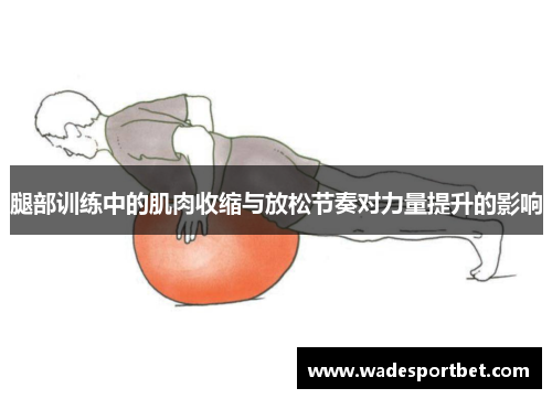 腿部训练中的肌肉收缩与放松节奏对力量提升的影响