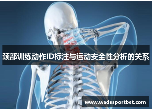 颈部训练动作ID标注与运动安全性分析的关系