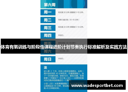 体育有氧训练与阶段性课程进阶计划节奏执行标准解析及实践方法
